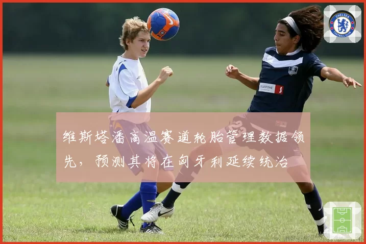 维斯塔潘高温赛道轮胎管理数据领先，预测其将在匈牙利延续统治