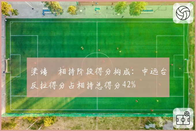 梁靖崑相持阶段得分构成：中远台反拉得分占相持总得分42%