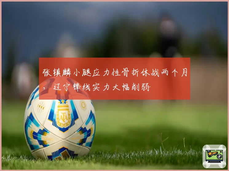 张镇麟小腿应力性骨折休战两个月,辽宁锋线实力大幅削弱