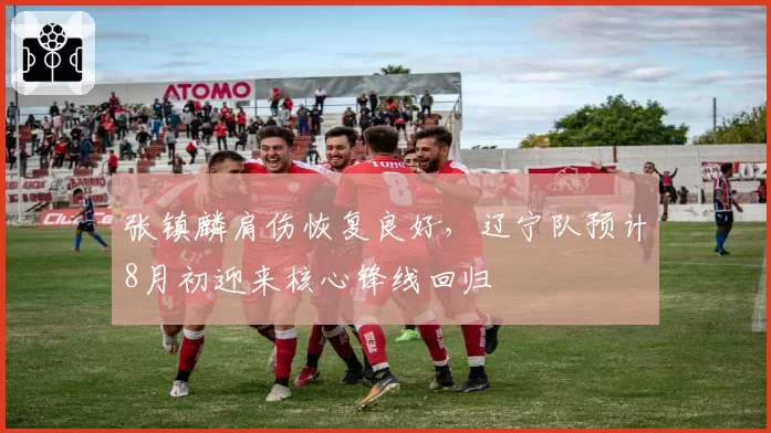 张镇麟肩伤恢复良好,辽宁队预计8月初迎来核心锋线回归