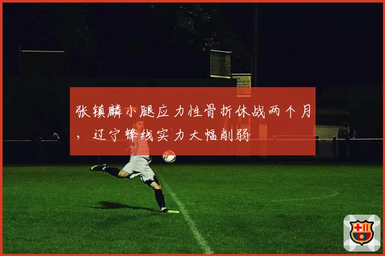 张镇麟小腿应力性骨折休战两个月,辽宁锋线实力大幅削弱