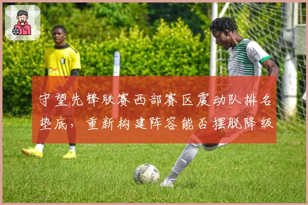 守望先锋联赛西部赛区震动队排名垫底，重新构建阵容能否摆脱降级区？