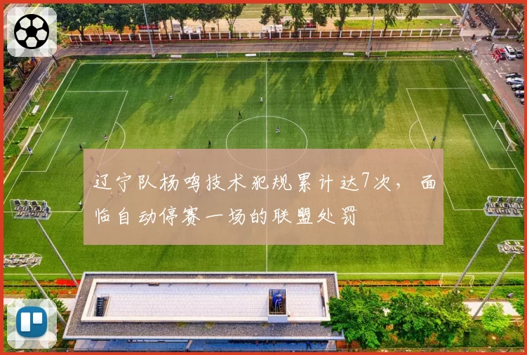 辽宁队杨鸣技术犯规累计达7次,面临自动停赛一场的联盟处罚